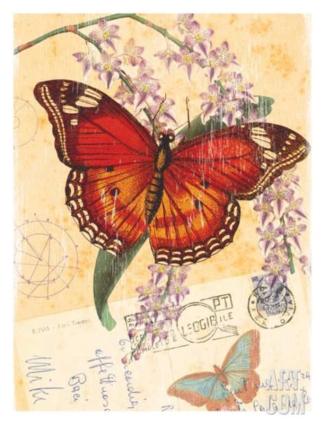 Vintage Botanical Butterfly Print Giclee Print Bessie Pease Gutmann