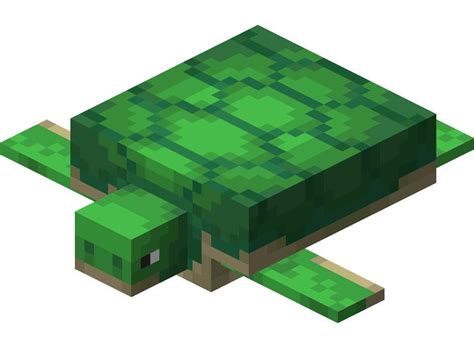 Minecraft Sea Turtle Care Guide Wiki Reptiles Amino