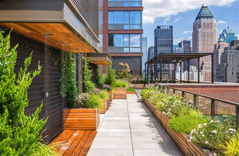 The Green Revolution Spreading Across Our Rooftops The New York Times