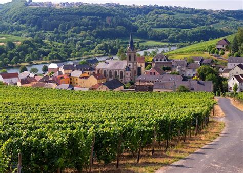 Wine Tasting In The Moselle Valley Audley Travel Us