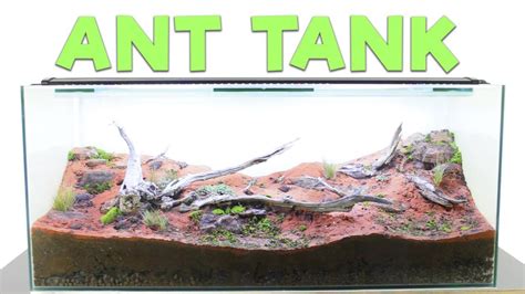 How To Build An Ant Farm Natural Formicarium YouTube