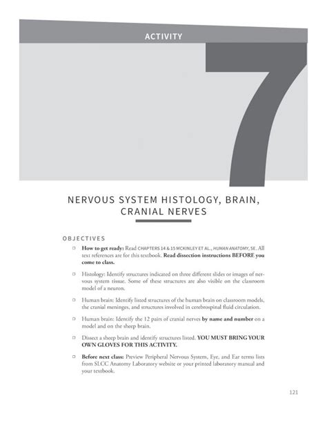 Pdf Nervous System Histology Brain Cranial Nervesslccanatomy Wp Hot
