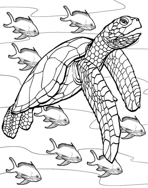 Sea Turtle Coloring Pages Printable Coloring Pages