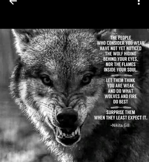 Motivational Wolf Quotes Awesome Wolves Warrior Quotes Wolf