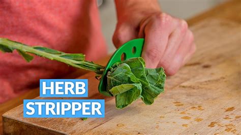 This Herb Stripper Easily Removes Herb Leaves From Any Sized Stem Youtube