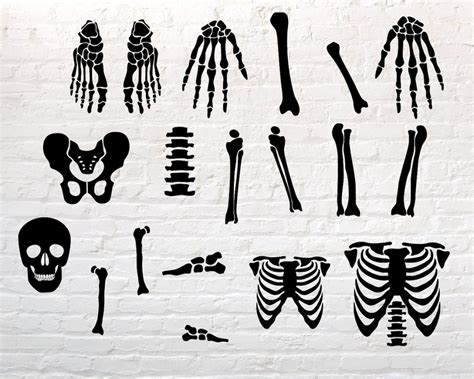 Skeleton Parts Svg Skeleton Svg Halloween Skeleton Svg Etsy The Best Porn Website