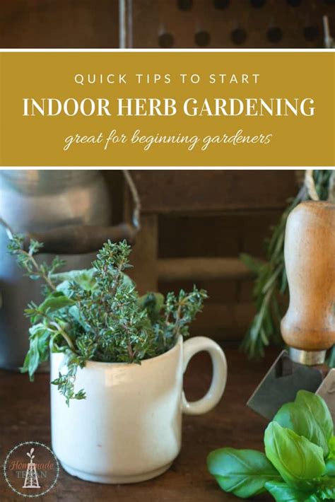 Quick Tips To Start Your Indoor Herb Garden Today