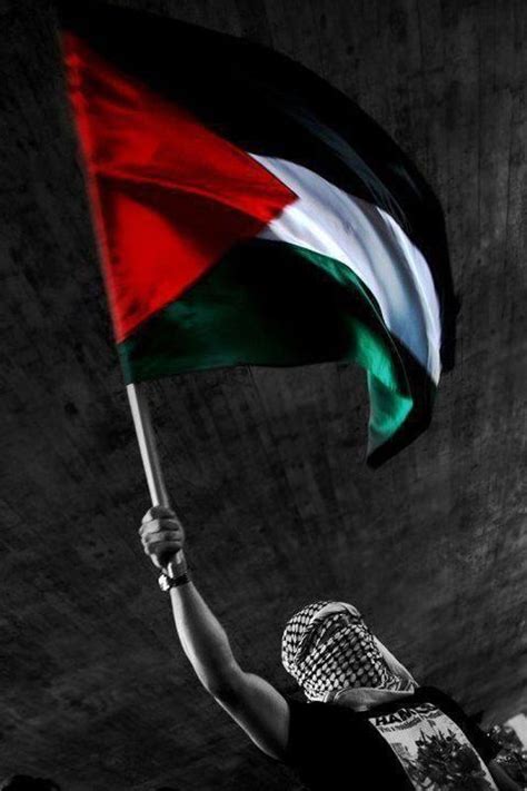 Tons of awesome free palestine hd wallpapers to download for free. Palestine Wallpapers photos HD for Android - APK Download