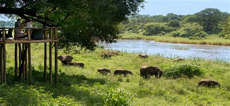 Lion sands game reserve offers you the opportunity to experience luxury safari at kruger national park and sabi sands game reserve. Lion Sands Game Reserve | Safari Holidays | Pure Destinations
