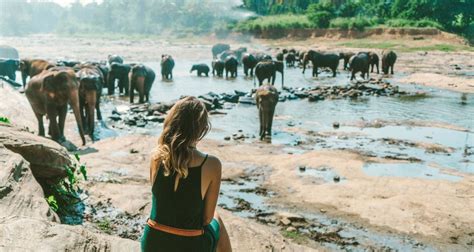 3-Day Glimpse of Sri Lanka Private Tour by Beyond Escapes with 3 Tour