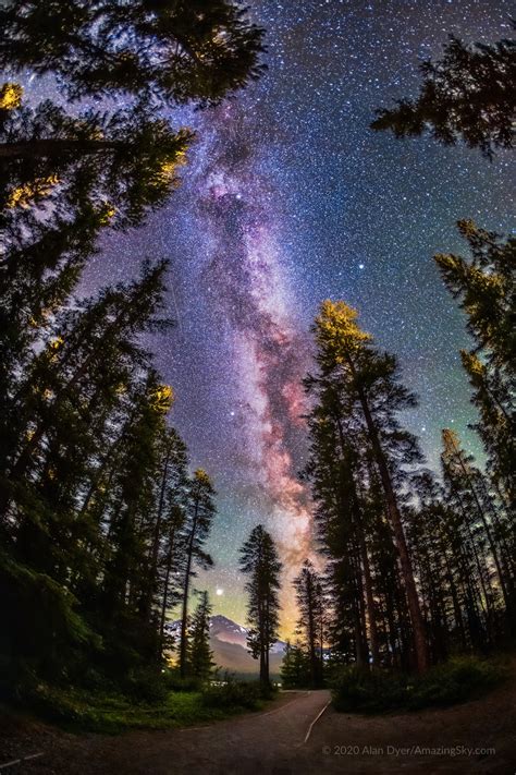 Twan Milky Way Through Trees