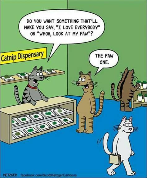 Cat Jokes Funny Cartoons Cat Comics