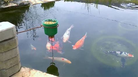 Automatic fish feeder by coberdas. On demand - DIY CHEAP KOI fish feeder - YouTube