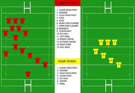 Rugby Positions 🏉 15s And 7s Prueba