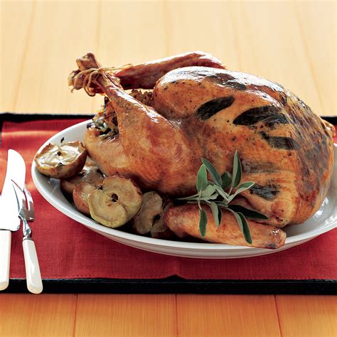 30 Ideas For Martha Stewart Thanksgiving Turkey Best Diet And Healthy Recipes Ever Recipes