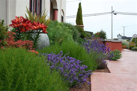 Mediterranean Garden Design How To Create A Tuscan Garden