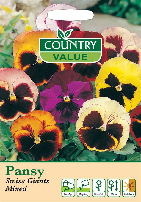 Pansy Swiss Giants Mixed Seeds By Country Value Uk