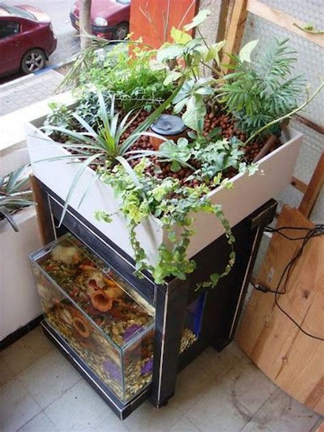 Brilliant Indoor Aquaponics System To Beautify Your Entire House