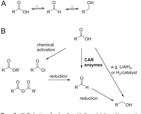 Here the electron rich c=o attacks the electron deficient sulphur in thionyl chloride. Figure 1 from Biocatalytic reduction of carboxylic acids ...