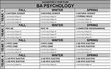 Jobs You Can Get With A Bachelors In Psychology Images