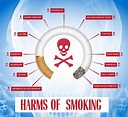 Effects Of Smoking On Your Health | Visual.ly