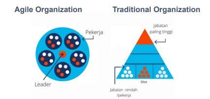 Perbedaan Agile Organization Vs Traditional Organization Zahir
