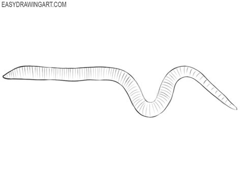 How To Draw A Worm Easy Drawing Art