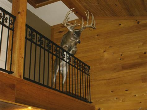 Awesome Deer Mount Idea With Images Deer Mounts Taxidermy Mounts