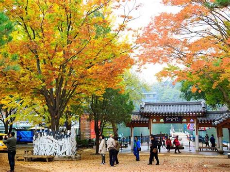 Khám Phá Cảnh đẹp Mùa Thu ở Hàn Quốc Với Những Gợi ý Không Thể Bỏ Qua