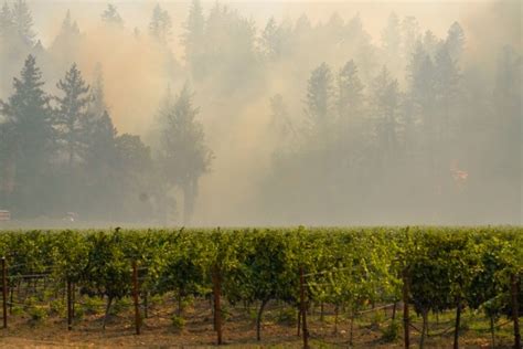 Glass Fire Quadruples In Size 80 Napa Valley Homes Burn Los Angeles Times