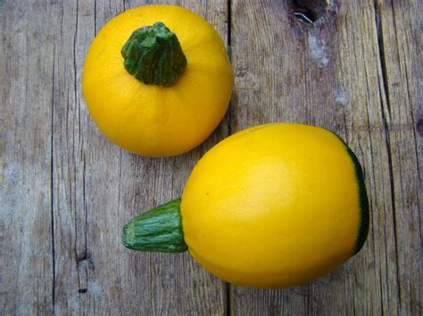 We did not find results for: #TEXELPICS: Harvest: Round yellow zucchini