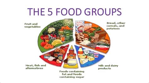 Unit 3 Part 8 Five Food Groups Functions And Their Examples YouTube