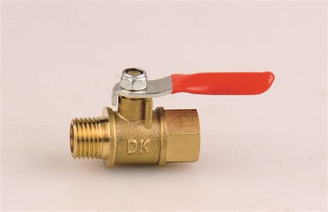 China Customized Din 3202 Brass Seat Swing Check Valve Pn16 Air