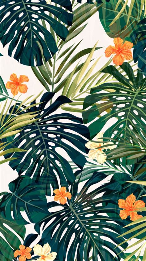 Pin By Daria Russkikh On Wallpapers Art Wallpaper Tropical Wallpaper
