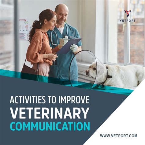 Activities To Improve Veterinary Communication In 2021 Communication