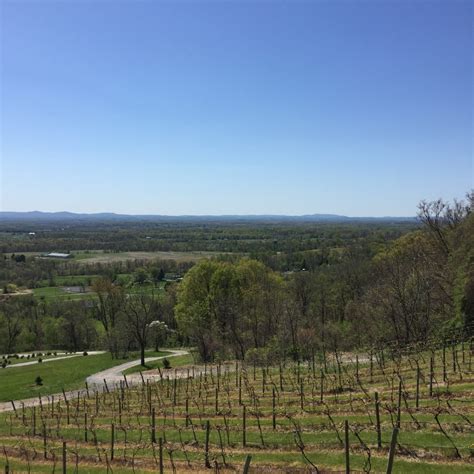 Wine Tasting In Northern Virginia Bluemont Vineyard And Casanel Winery