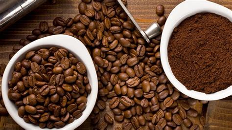perbedaan kopi robusta  arabika mulai  rasa hingga proses