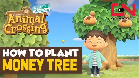 These projects allow the mayor to customize their town by adding new buildings, upgrading existing buildings, or by placing. Glowing Spot - How to Plant Money Tree - Animal Crossing New Horizons - YouTube