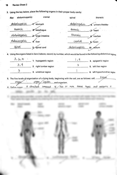 Solution Anatomy Physiology Laboratory Manual Exercise 2 Review Sheet