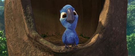 Flying From Here Hmmm I Dont Think So Movie Parrot Baby Cute