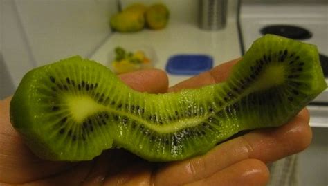 This information paper describes in detail the causes of the nuclear accident at fukushima daiichi in march 2011 and the actions taken since. Vriksha Nursery: The mutant fruits of Fukushima.