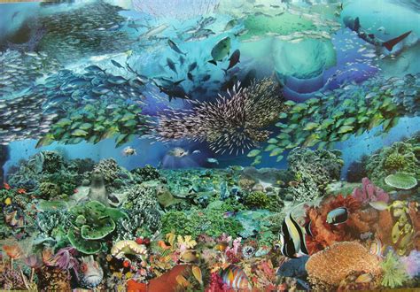 1. Bali's Underwater Paradise