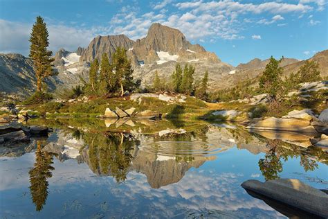 Usa California Inyo National Forest Photograph By Jaynes Gallery