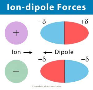 Ion Dipole Forces Interaction Definition And Examples