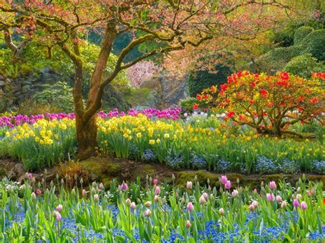 49 Best Images About Spring And Summer Scenes On Pinterest Washington