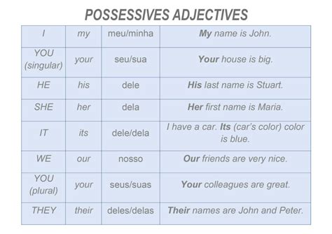 Pronomes Possessivos Possessive Adjective And Possess Vrogue Co