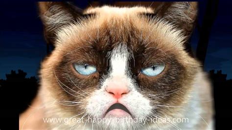 Grumpy Cat Happy Birthday Song Share Youtube