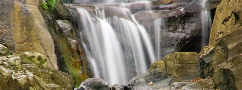 Vazhvanthol Waterfalls Entry Fee Timings Things To Do
