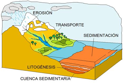 Curiosidades Cient Ficas Sedimentaci N Y Formaci N De Rocas Sedimentarias