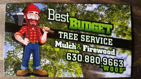 Best Budget Tree Service Firewood And Mulch Minooka Il